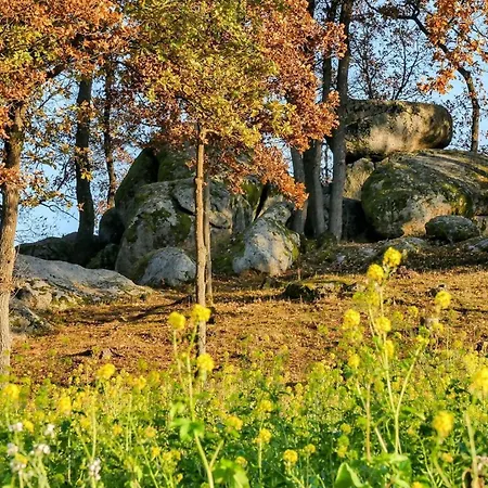 Fewo - Im Schwarzachtal Neunburg vorm Wald Exterior photo