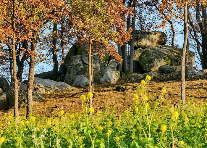 Fewo - Im Schwarzachtal
