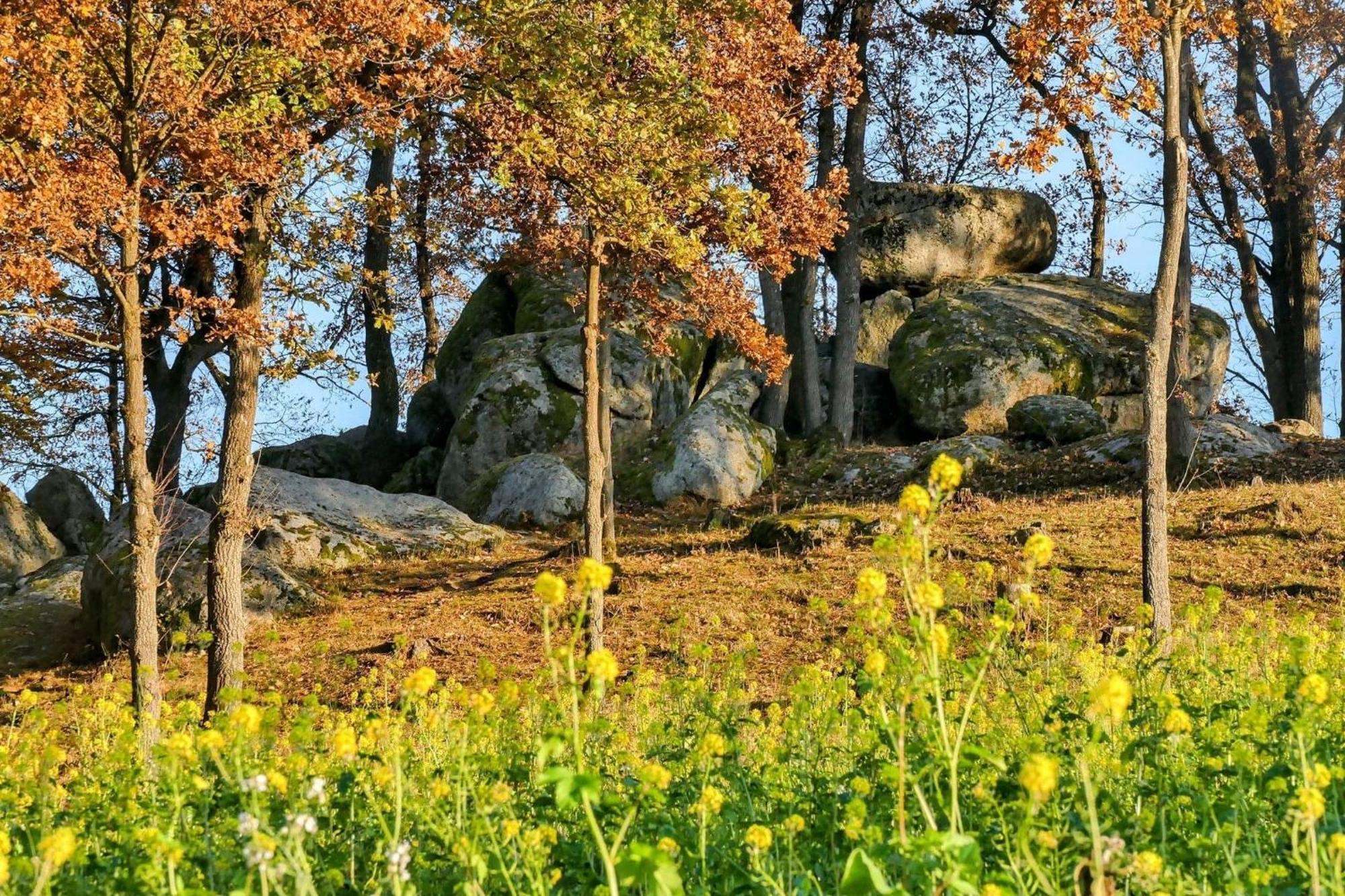 - Im Schwarzachtal Apartment Neunburg vorm Wald